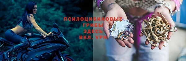СК Новодвинск