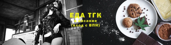 СК Новодвинск