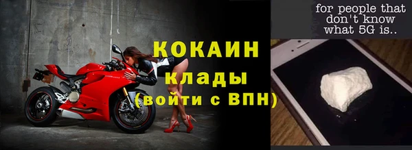 СК Новодвинск