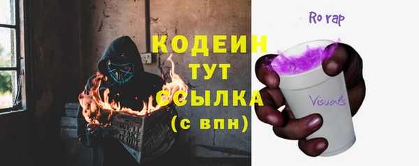 СК Новодвинск