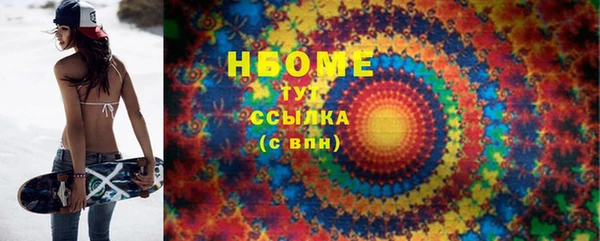 СК Новодвинск
