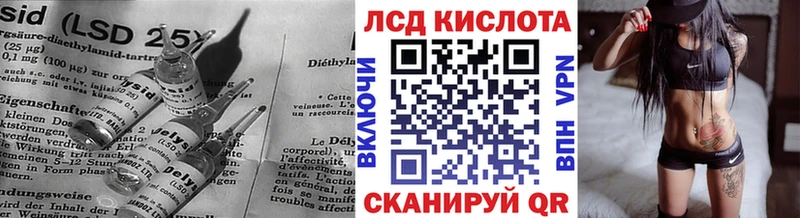 где купить наркоту  Шахунья  ЛСД экстази ecstasy 