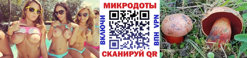 магазин продажи наркотиков  Шахунья  Псилоцибиновые грибы Magic Shrooms 