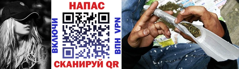 Конопля индика  Шахунья 